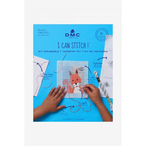 Kit Tapisserie point lancé DMC - Ecureil 10x13 cm