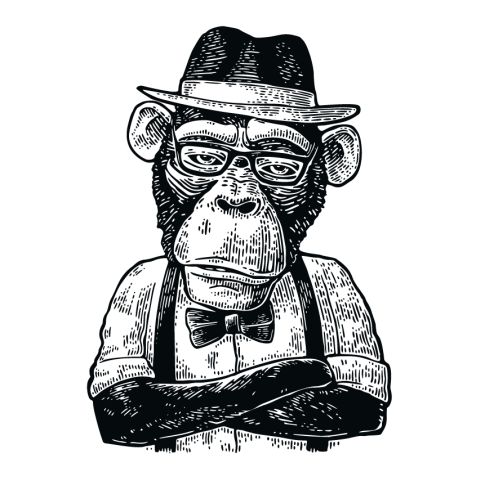 Sticker textile thermo-adhésif  7x7 cm - Singe