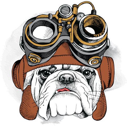 Sticker textile thermo-adhésif  7x7 cm - Bulldog aviateur 