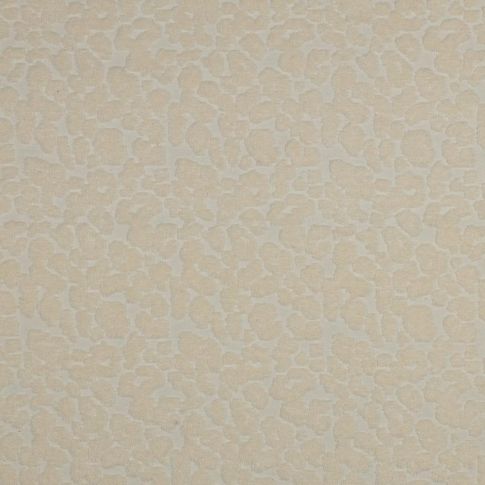 Tissu Maille  motif éponge Sarena beige sur fond Ecru