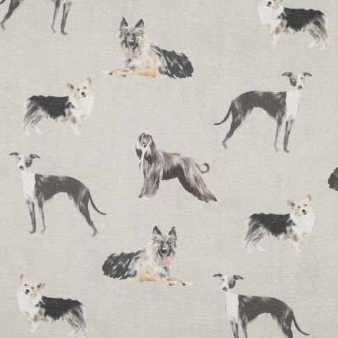 Tissu Toile Canvas chiens Canissimo sur fond Gris perle