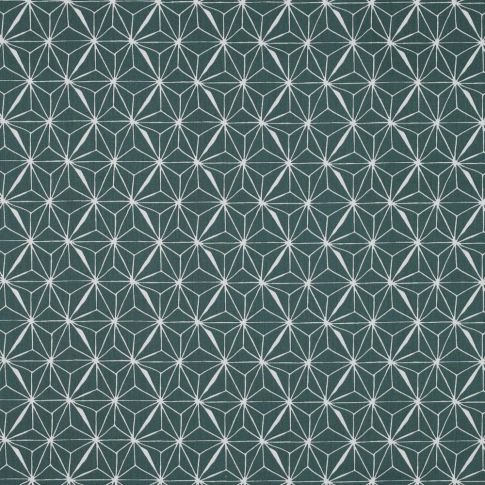 Tissu Coton enduit Casual sur fond Vert