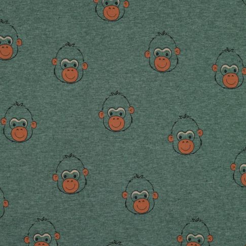 Tissu Jersey Coton Singe sur fond Vert d'eau