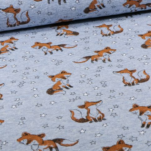Tissu Sweat envers minky Renardo sur fond Bleu chiné