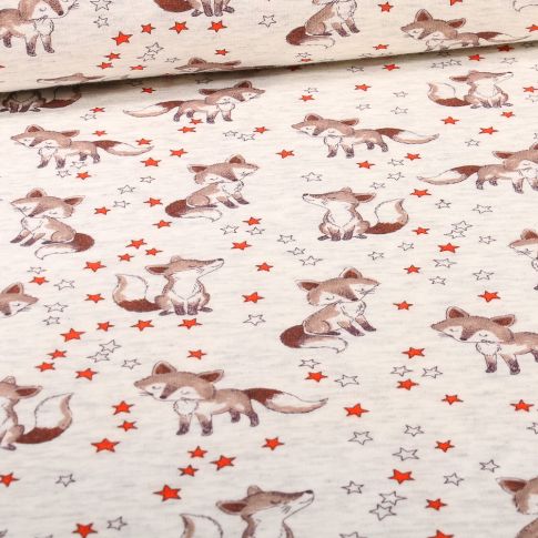 Tissu Sweat envers minky Renardo sur fond Beige chiné