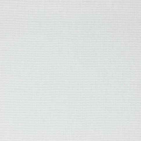 Tissu Coton broderie uni Blanc