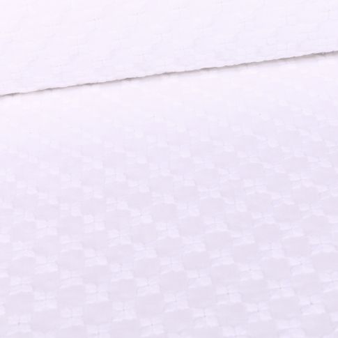 Tissu Broderie anglaise festonné Blanc