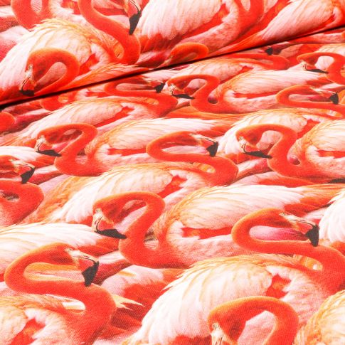 Tissu Toile de Coton Demi-Panama Premium Flamants sur fond Corail