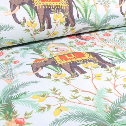 Tissu Toile Polycoton Grande largeur Indi sur fond Blanc