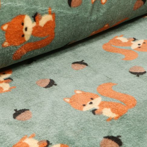 Tissu Doudou Ecureuils sur fond Vert d'eau