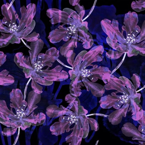 Tissu Viscose satiné fleurs Violet et bleu sur fond Noir