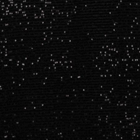 Tissu Sequins verticaux uni Noir