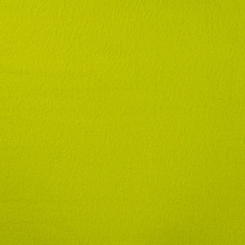 Tissu Polaire doux uni Vert pomme