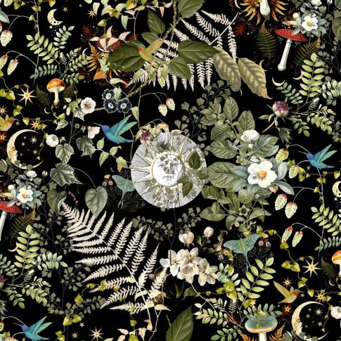 Tissu Velours ras épais tout doux Celeste sur fond Noir