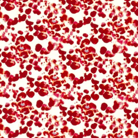 Tissu Popeline de Viscose Grenade Rouge sur fond Blanc