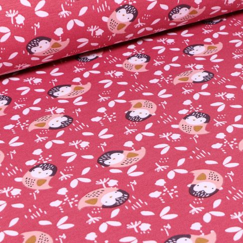 Tissu Jersey coton Kidia sur fond Bois de rose