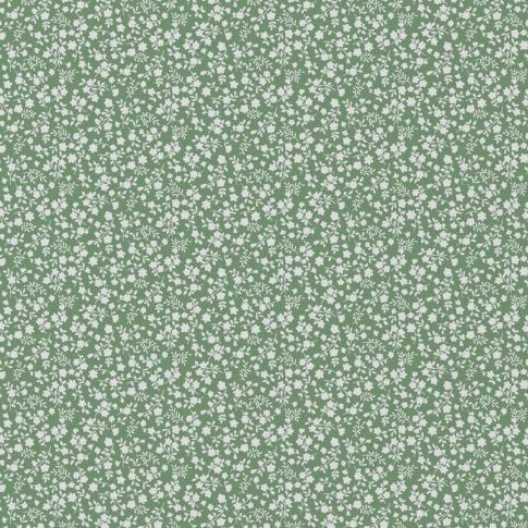 Tissu Coton enduit Suzette sur fond Vert