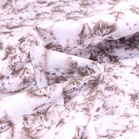 Tissu Coton imprimé QT Fabrics Beautiful Cat beige sur fond Blanc
