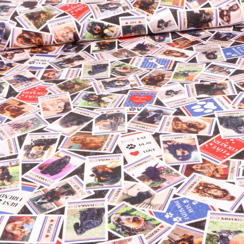 Tissu Coton imprimé Ivanka and friends Cards sur fond Noir