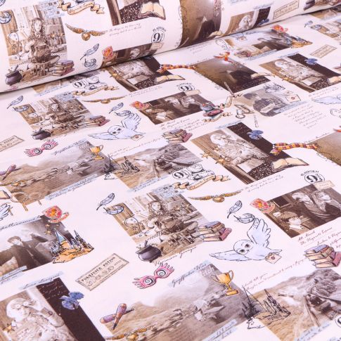 Tissu Harry Potter Magical sur fond Gris