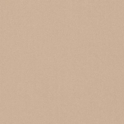 Tissu Spécial Toile de store Orchestra uni Beige - Par 10 cm