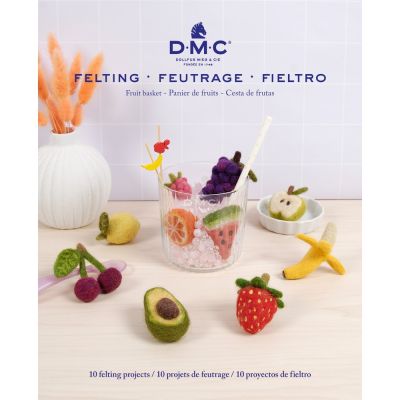 Livres de 10 modèles de feutrage fruits
