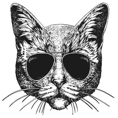 Sticker textile thermo-adhésif  7x7 cm - Chat à lunette 