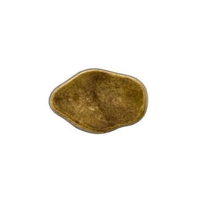 Bouton Prym en métal 12 mm - Laiton vieilli rond irrégulier
