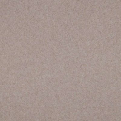 Tissu Maille Polaire douce Bio uni Taupe - Par 10 cm