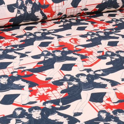 Tissu Coton imprimé sous licence Harry Potter Gris anthracite - Par 10 cm