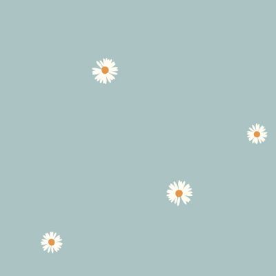 Tissu Popeline de Coton Marguerite sur fond Bleu ciel - Par 10 cm