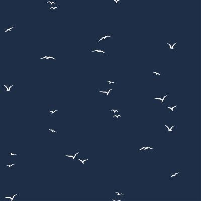Tissu Popeline de Coton Oiseau Lolo sur fond Bleu marine - Par 10 cm