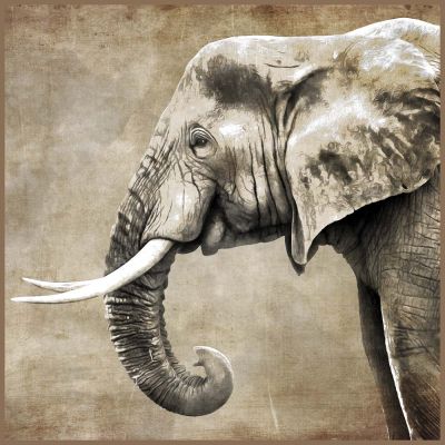 Carré Simili cuir Eléphant