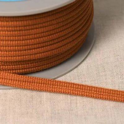 Cordon double passepoil Rouille x1m
