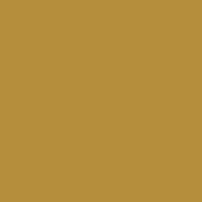 Tissu Toile de coton uni Grande largeur Ocre - Par 10 cm
